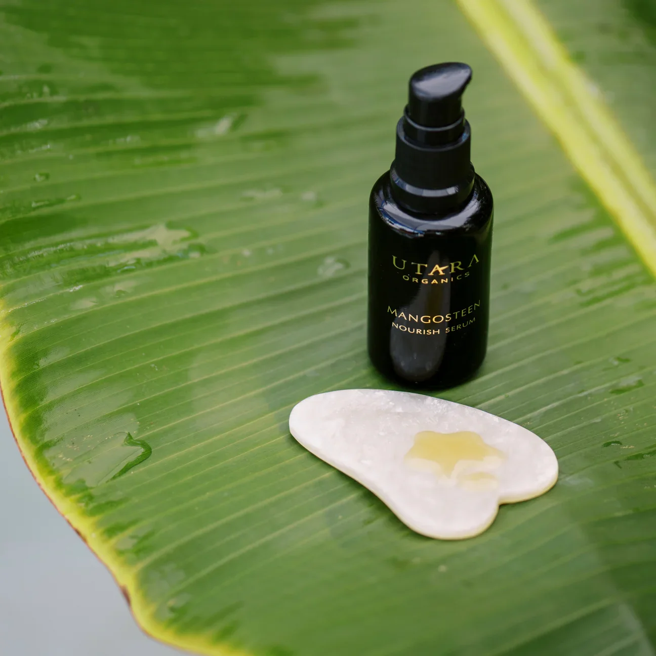 Utara Organics Mangosteen Nourish Serum