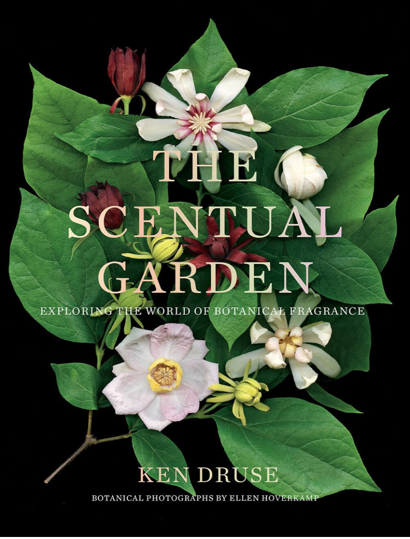 The Scentual Garden: Exploring the World of Botanical Fragrance
