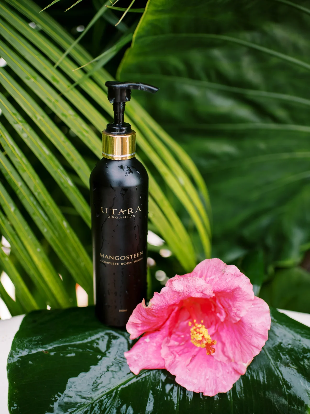 KauaiJungleTub-18_1296x.jpg.png