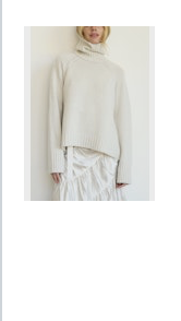 brazeau turtleneck 2.png