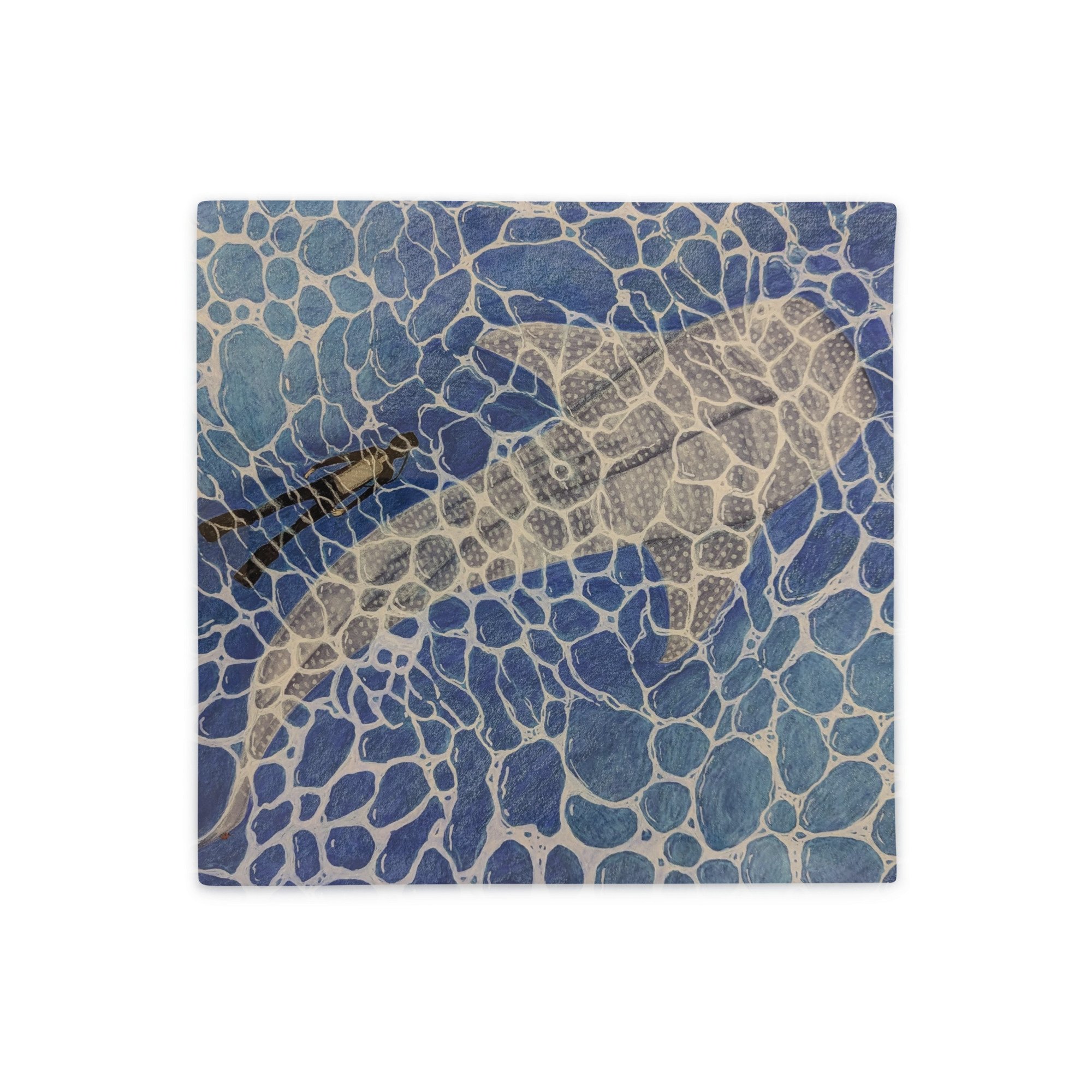 all-over-print-basic-pillow-case-18x18-front-666607ae06f63.jpg