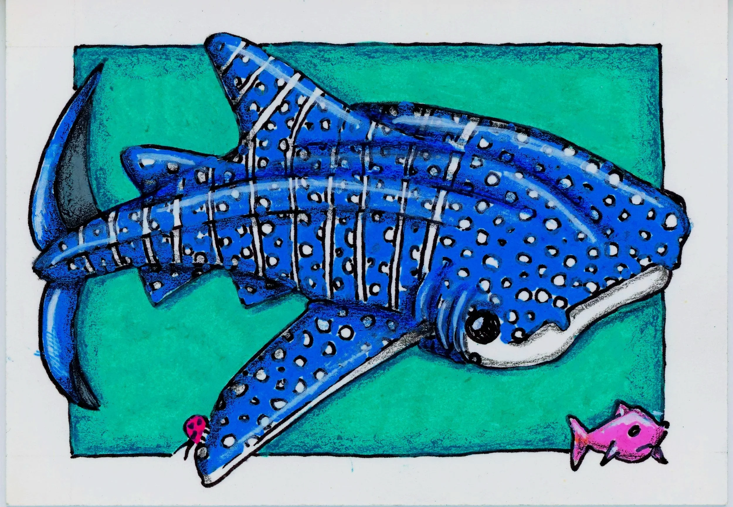 Shale shark swimming with little pink fish on turquoise background