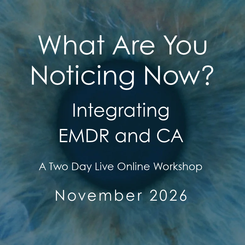 What Are You Noticing Now? Integrating EMDR and Constructed Awareness® - November 2026