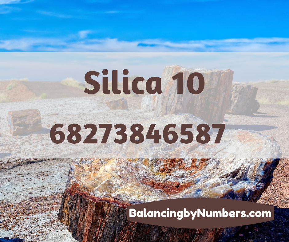 Silica 10 revisited