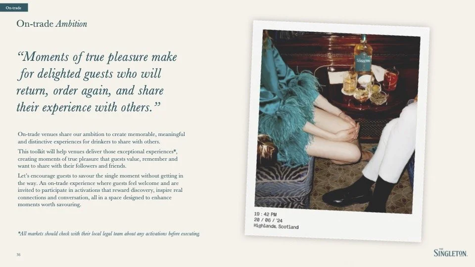 The Singleton_Global_BTL_Toolkit copy (dragged).jpg