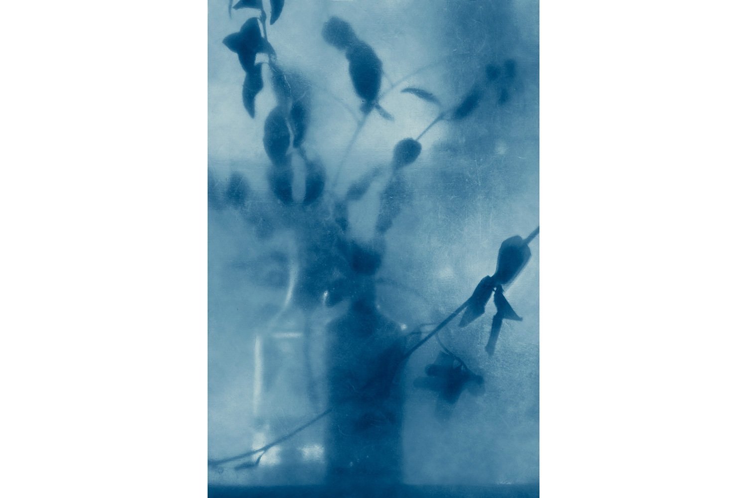 Indigo Dreams | Photography art print by Terese Conway.