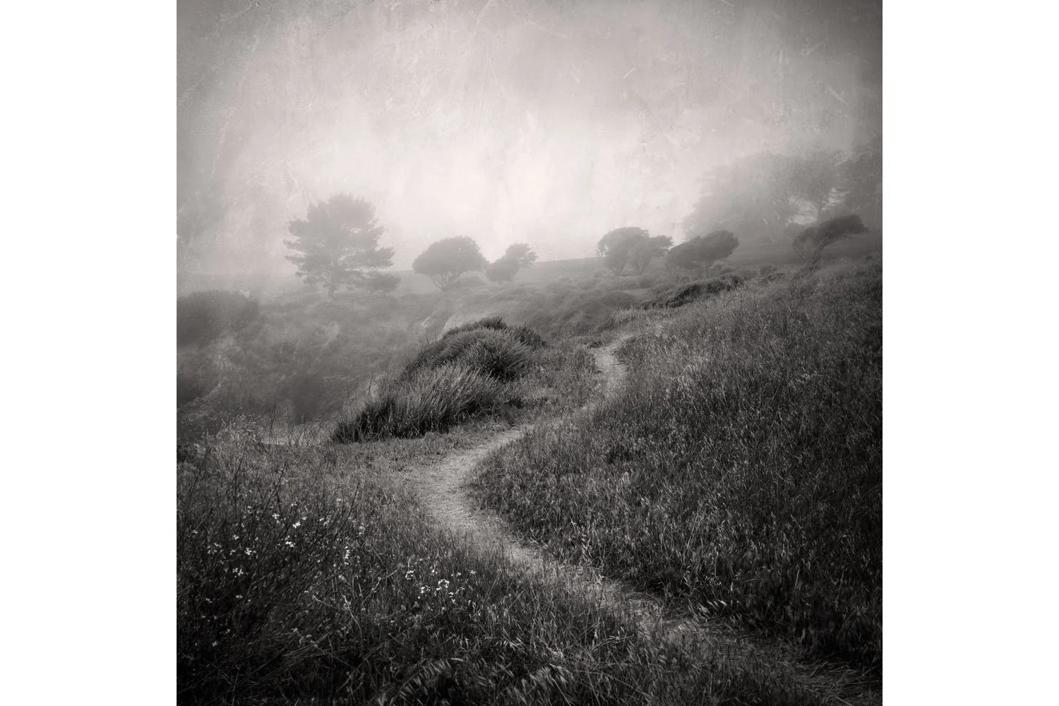Passage - Acrylic Print