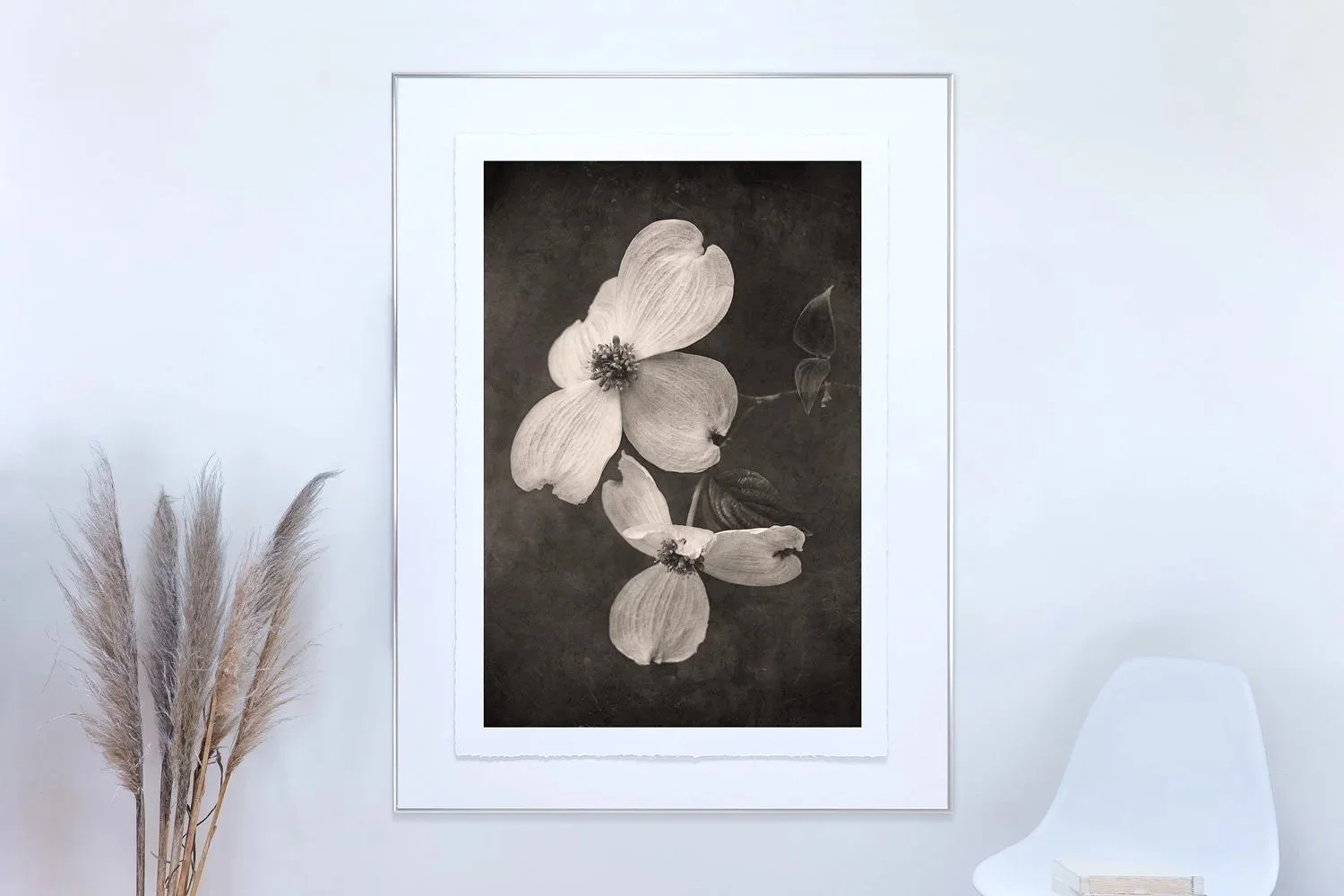 Springtime Dogwood | Botanical wall art print by Girl without a Tripod.