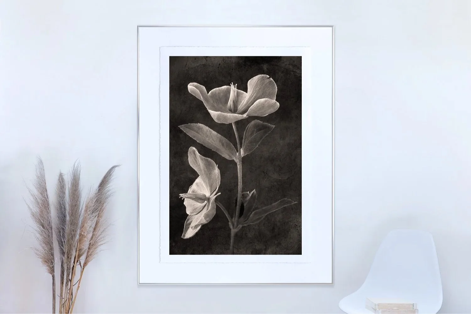 botanical+photo+wall+art+hellebore.jpg