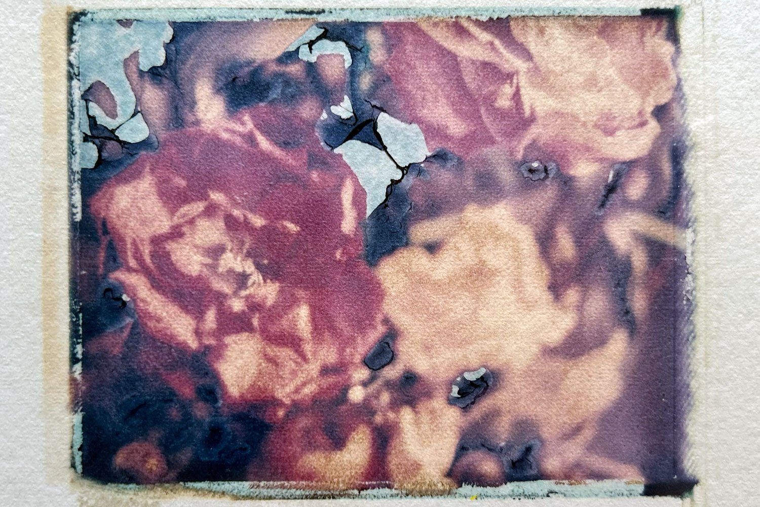 Polaroid_7792.jpg