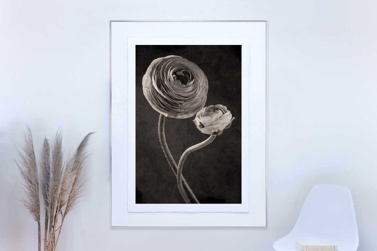 Ranunculus | Botanical wall art print by Girl without a Tripod.