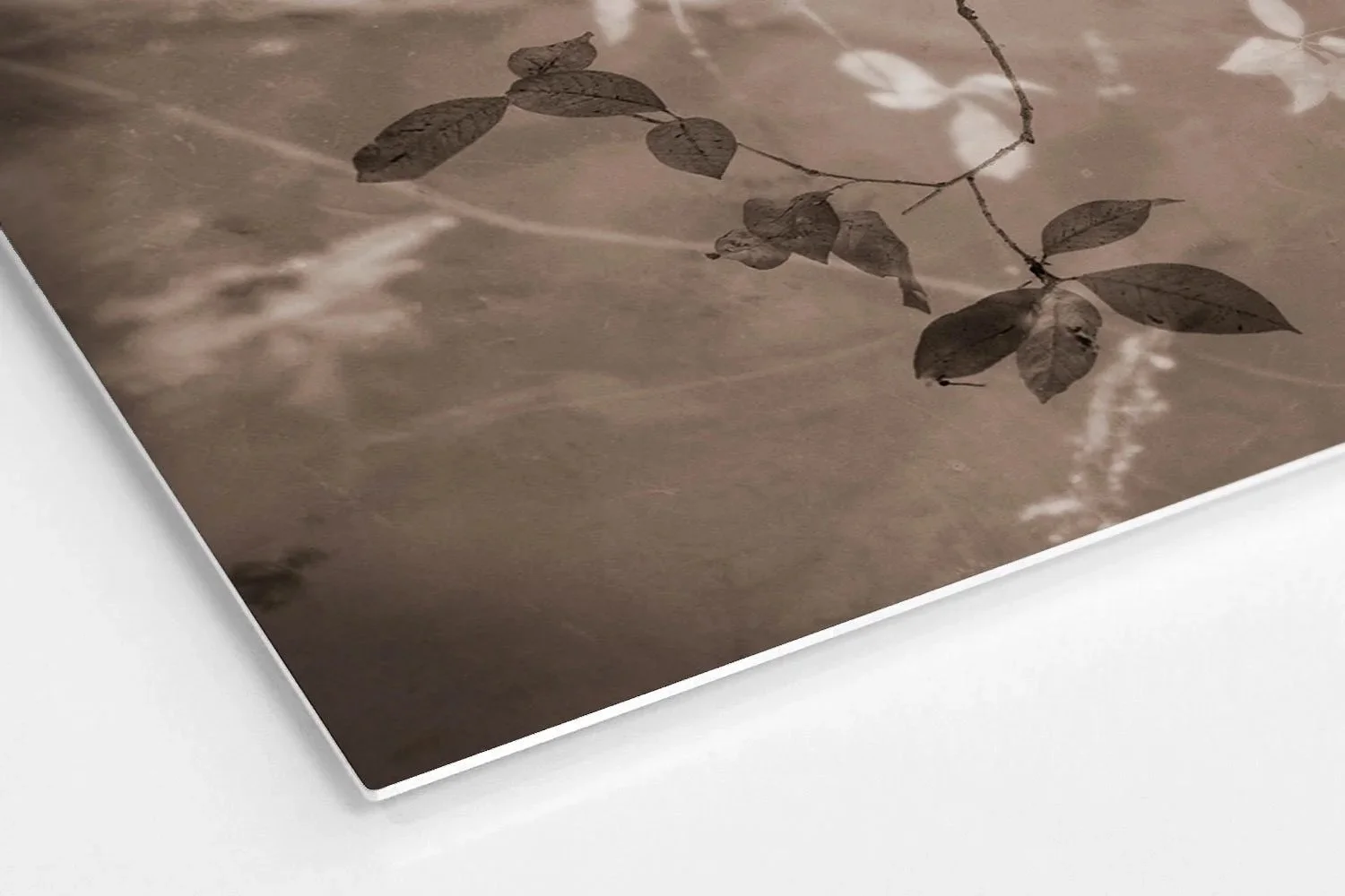 dreamweaver-metal-semigloss-terese-conway-photography.jpg