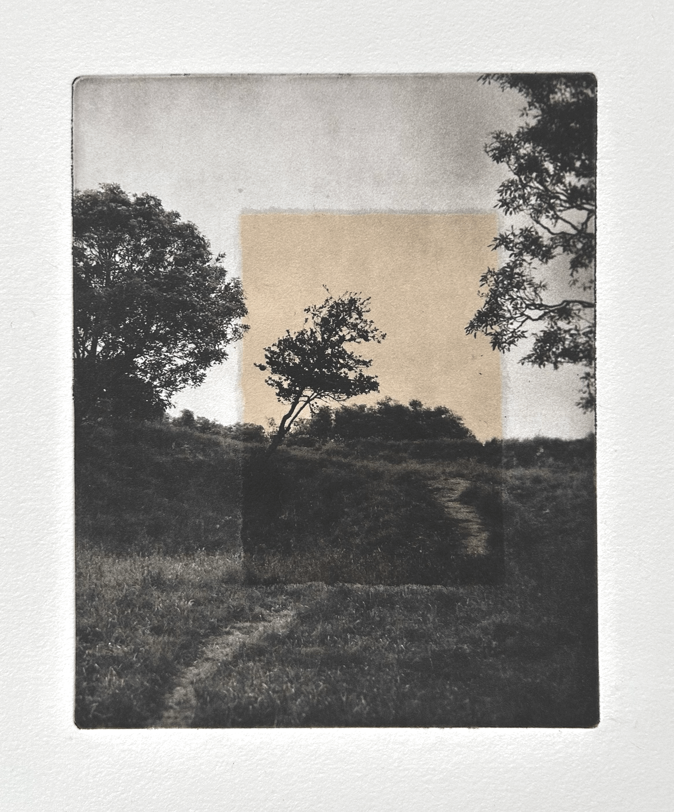 Photogravure with chine-collé