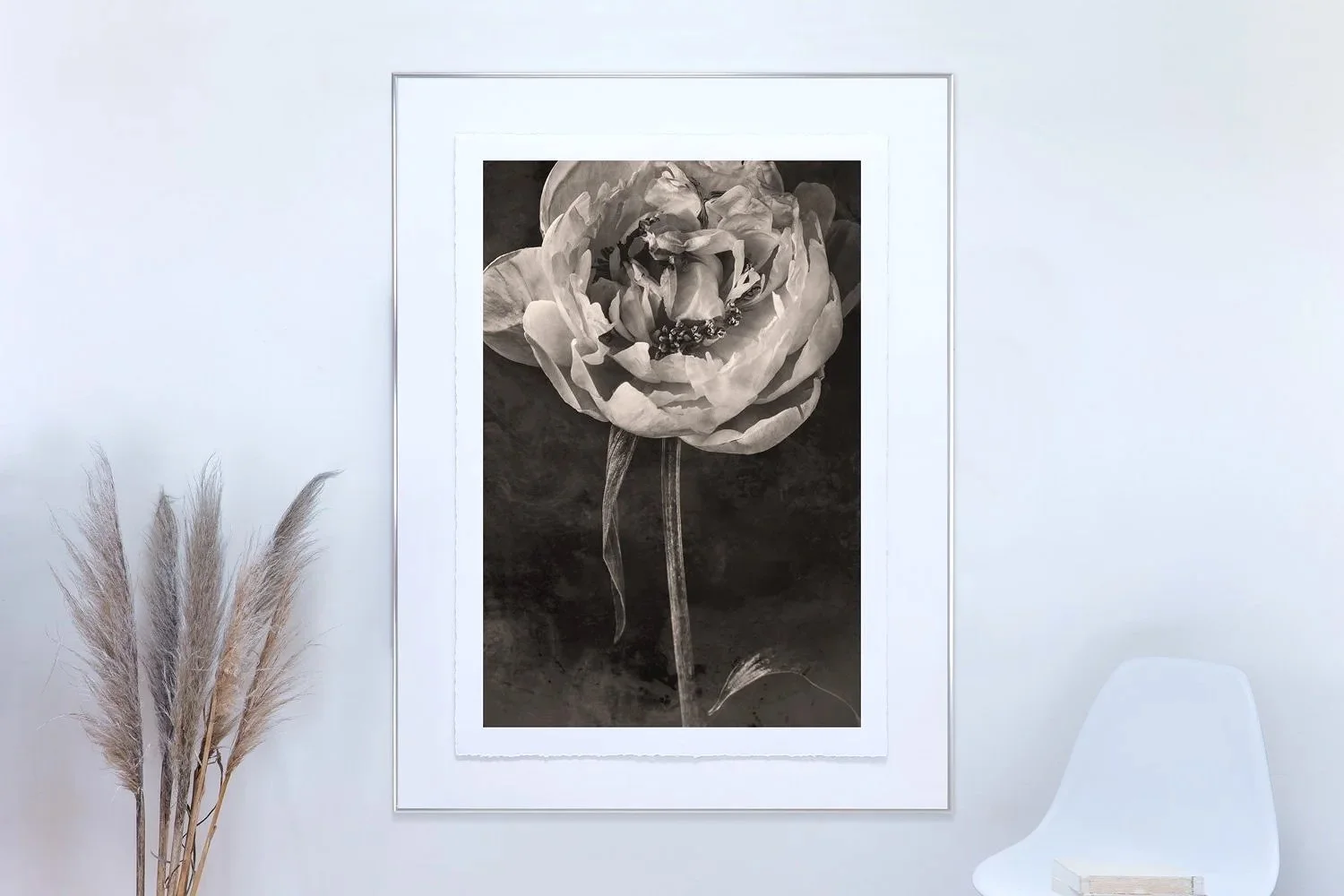 Festiva Maxima | Botanical wall art print by Girl without a Tripod.