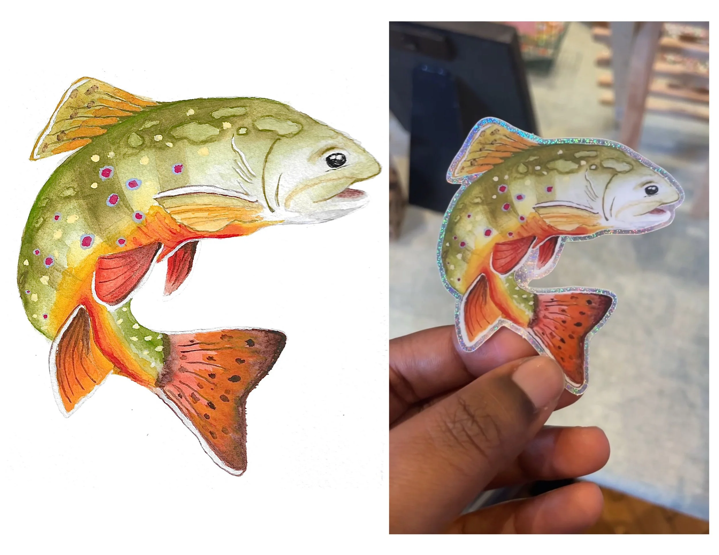 Brook Trout 2024