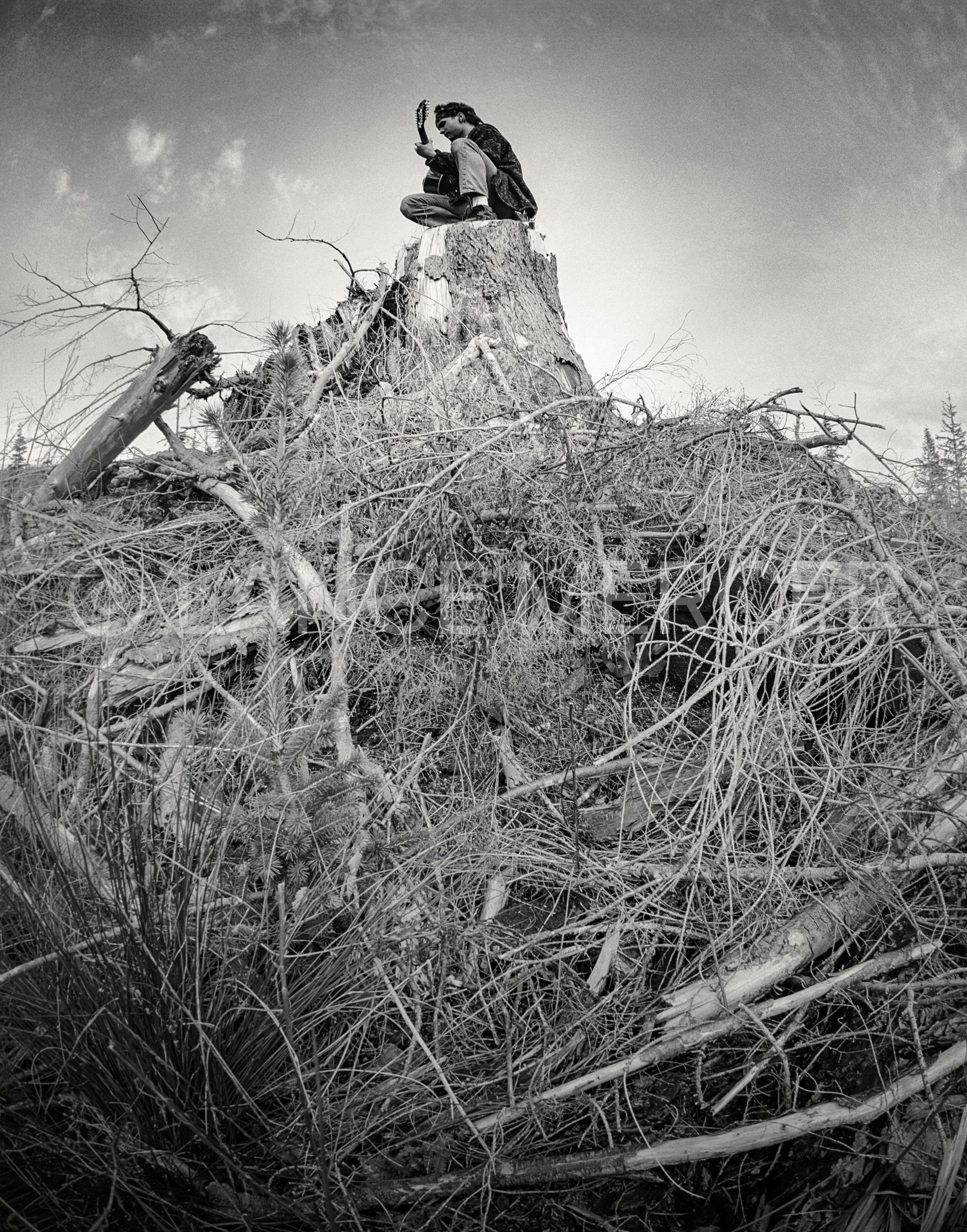 Pearl Jam Vs. Session Olympic Peninsula 1993