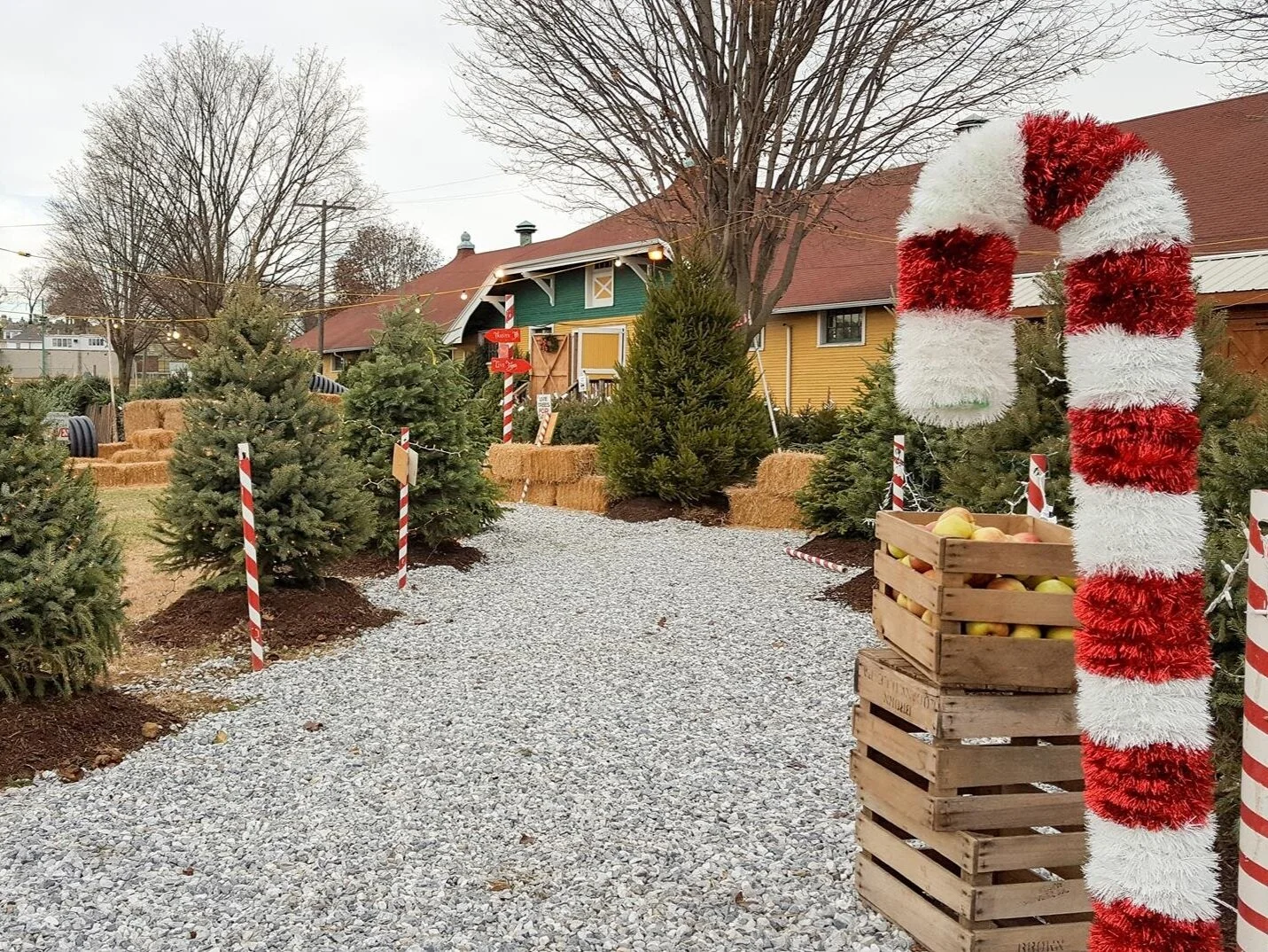 About — Orchard Valley Farm