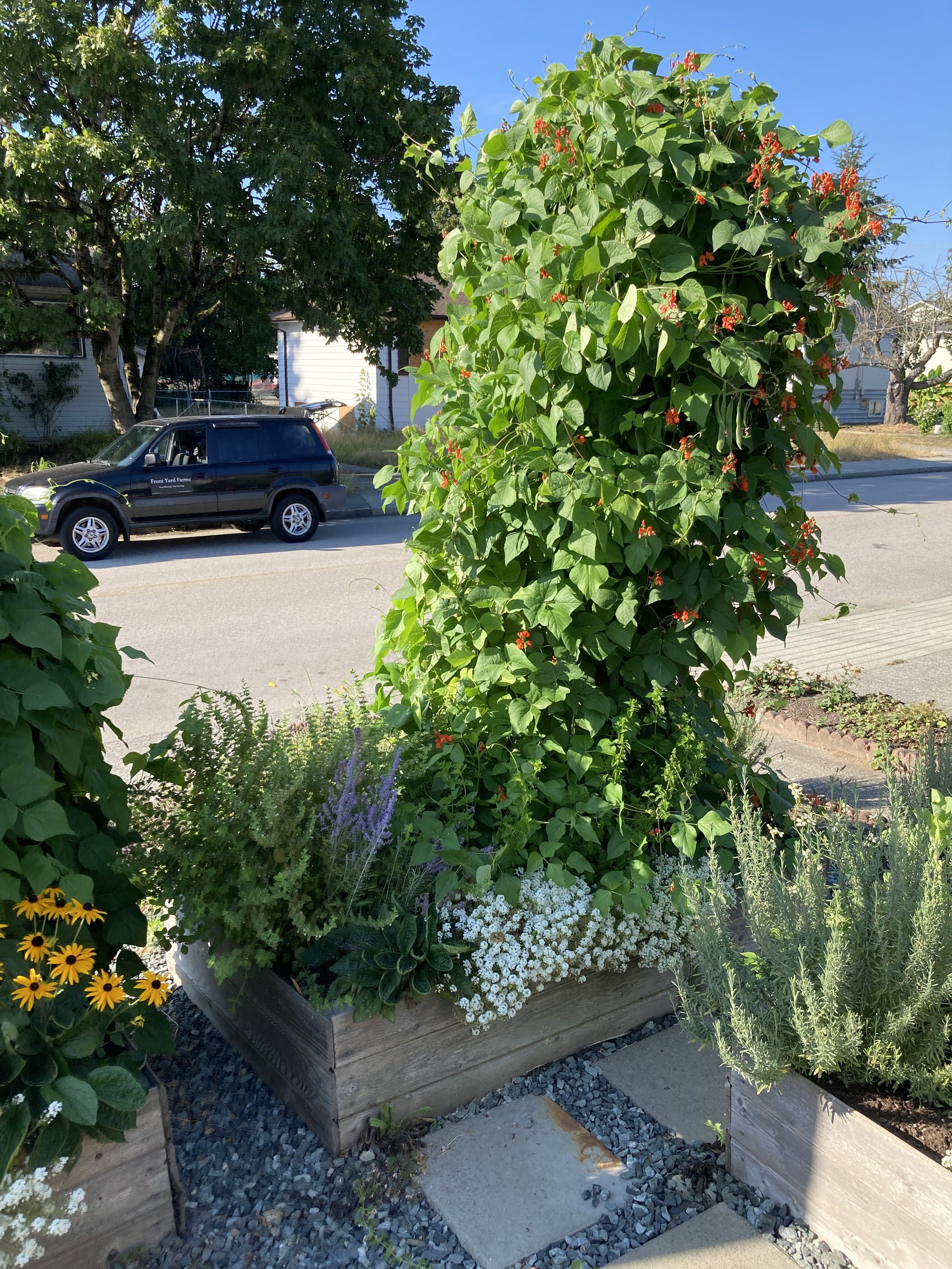 IMG_0186.jpeg