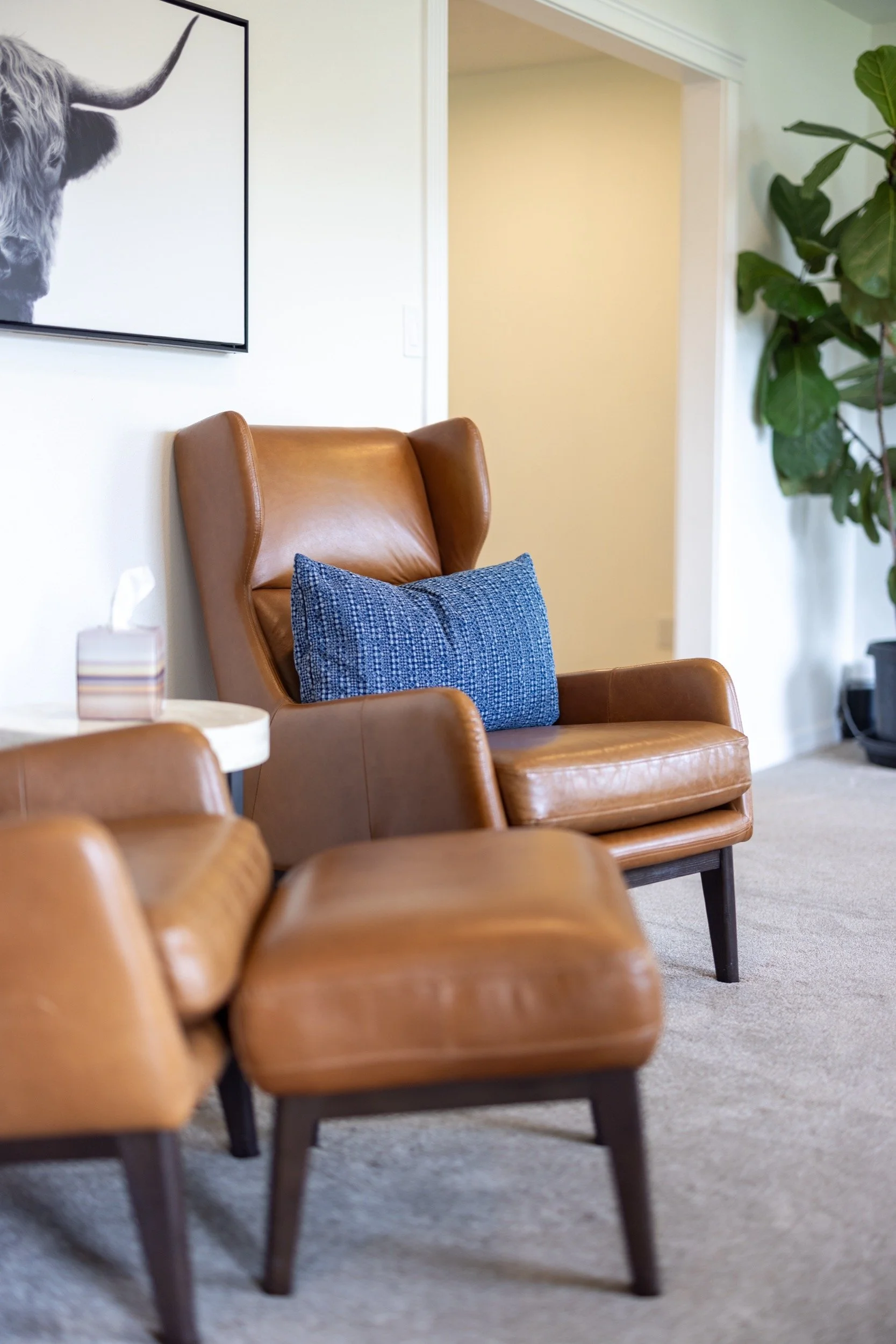 9701 W Desert Ave Details.jpg