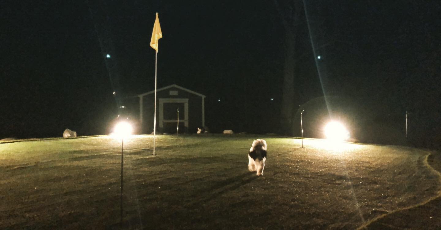 Poppy Jo loves her some #nightputting 🤍⛳️