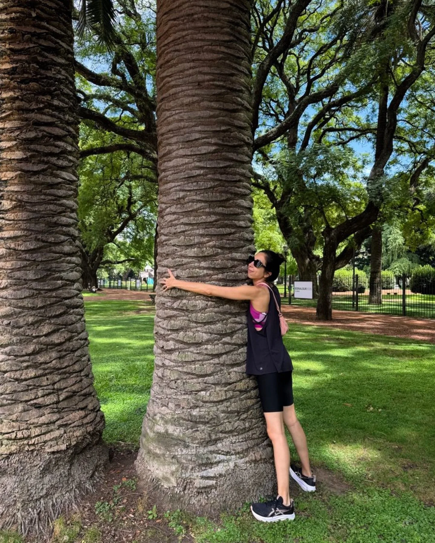 HOLA 2026 💫 Toy Ready! 🐦&zwj;🔥