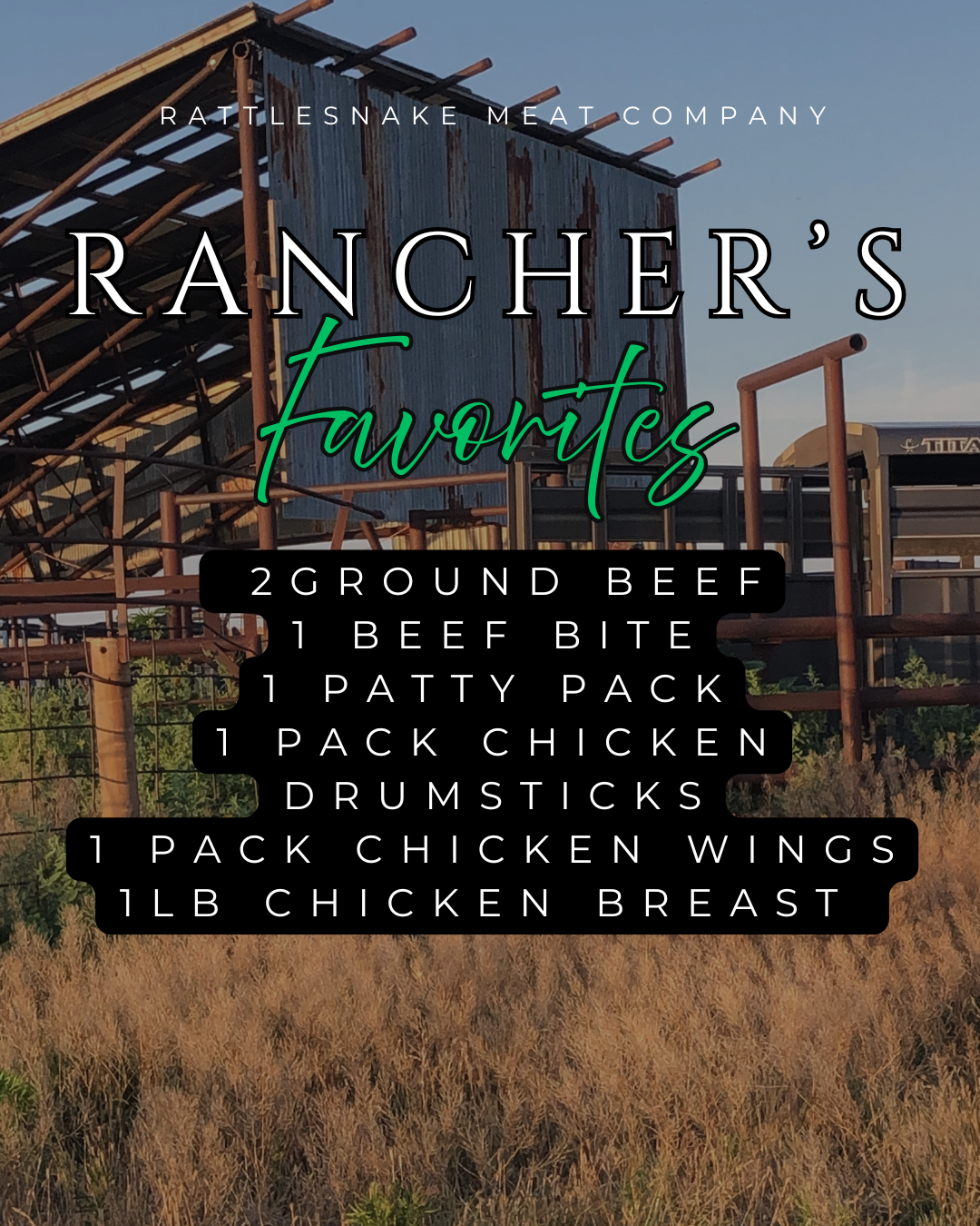 starter plus (1).png