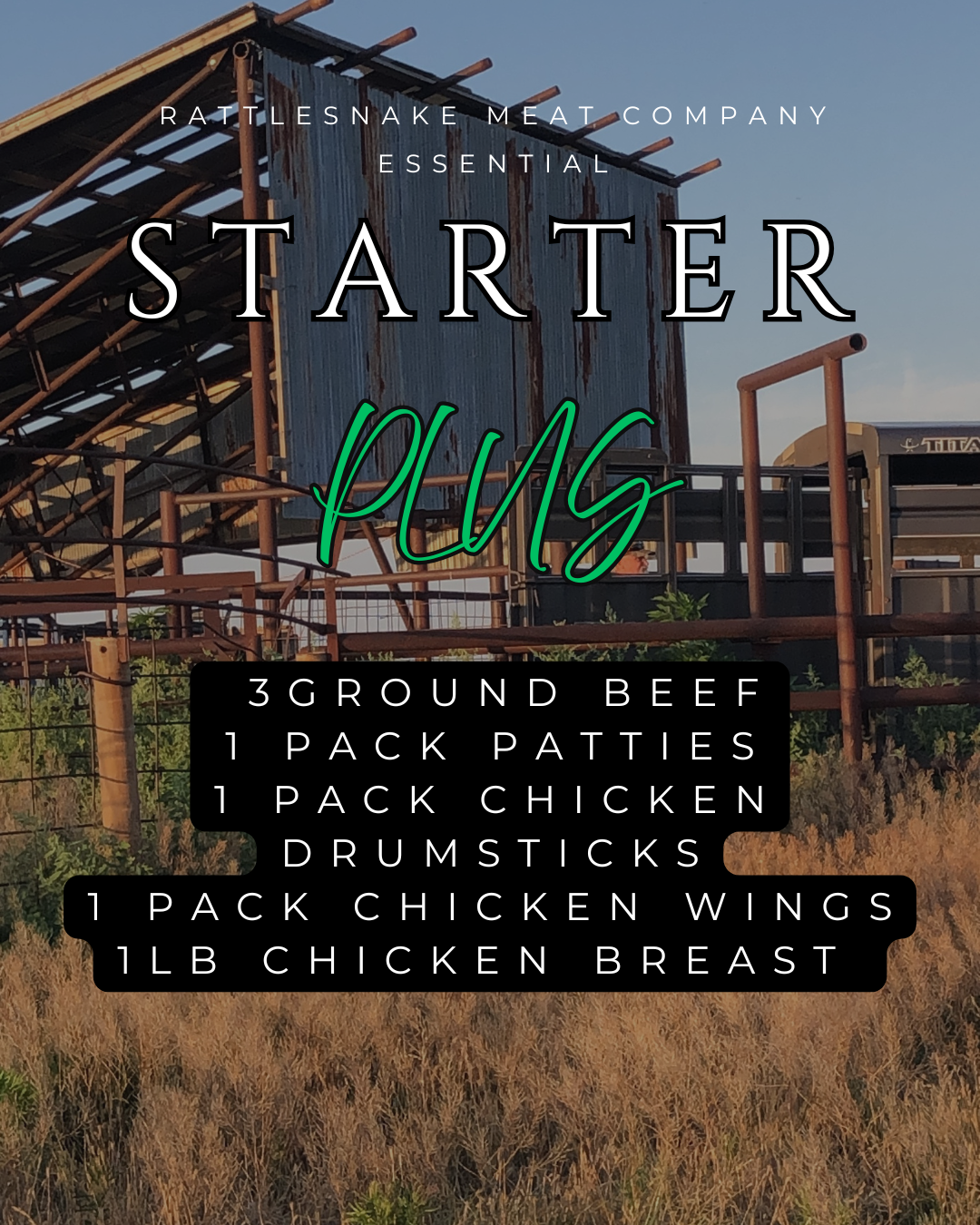 Starter-Patties No Bites.png