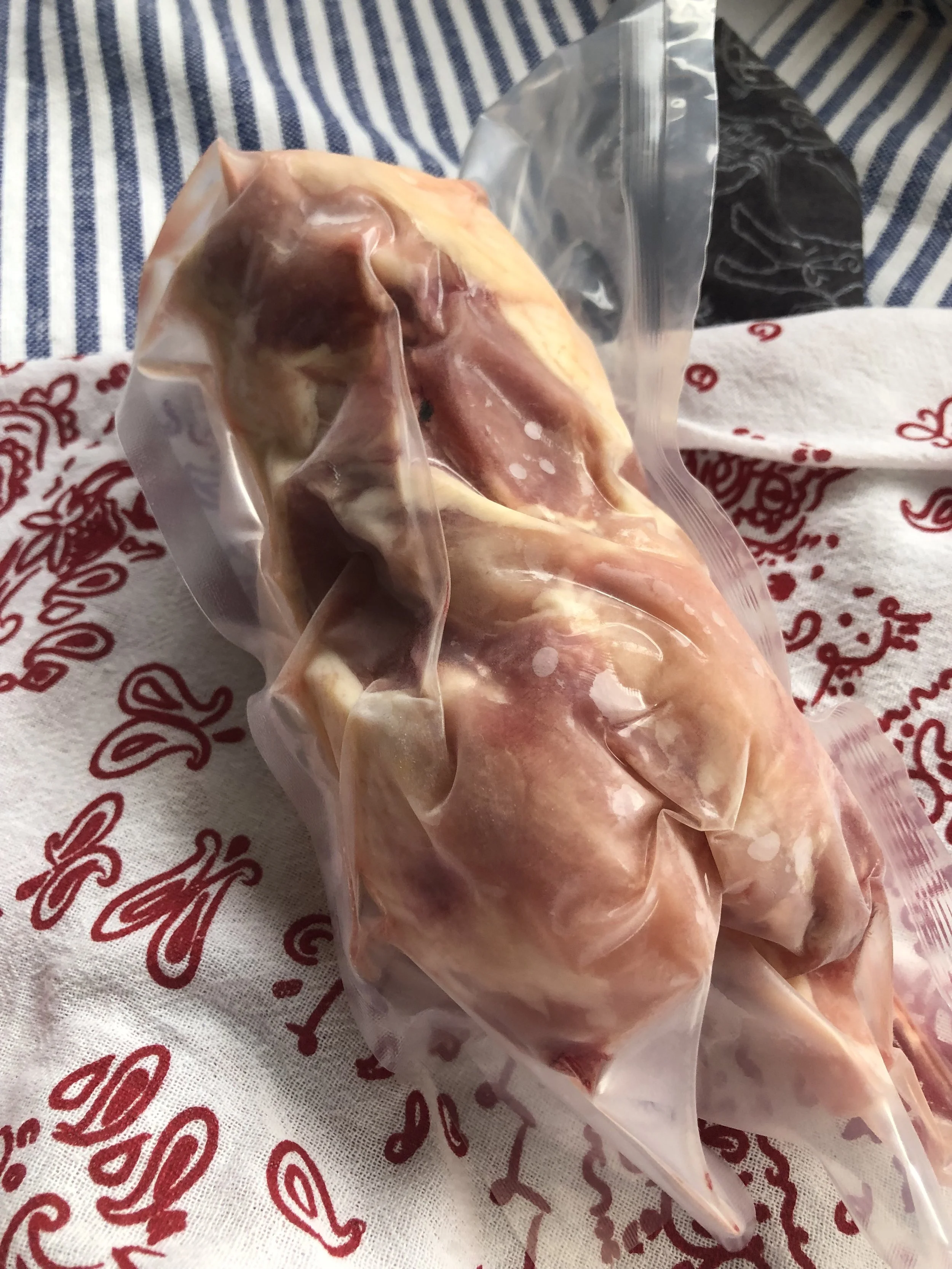 chickenbackbones1.jpg
