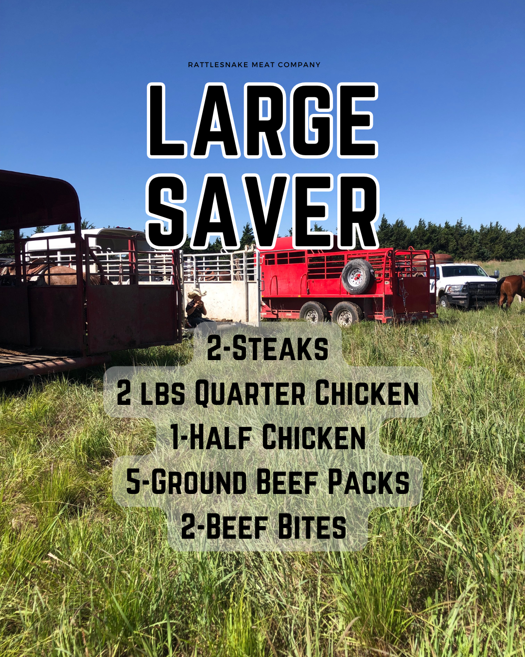 Large saver (Instagram Post (45)).png
