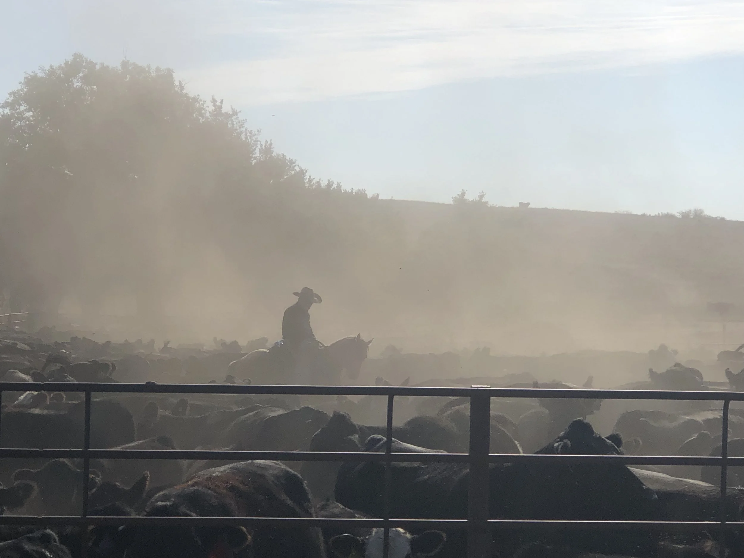 Raised for People Who Care