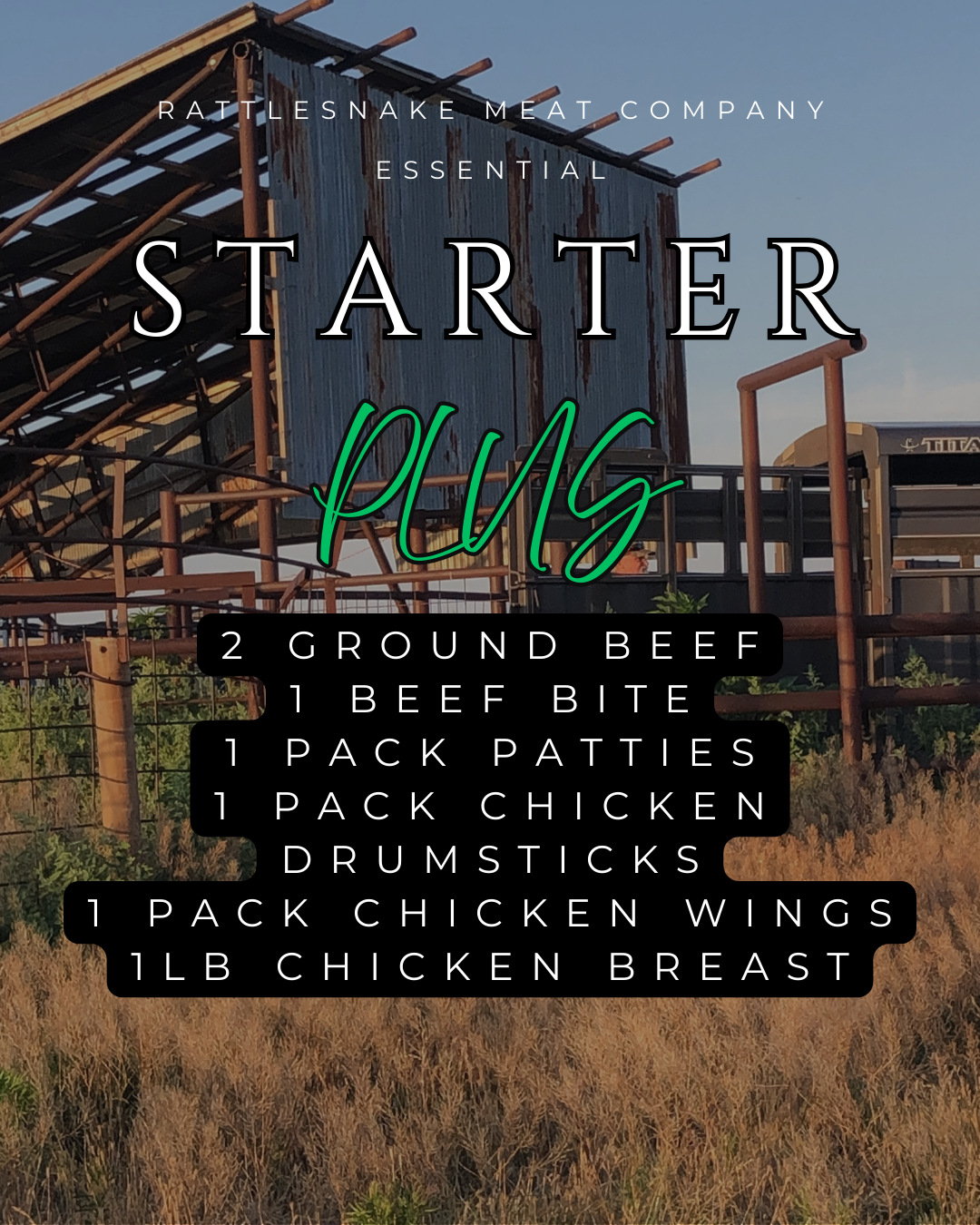 Starter PLUS.png