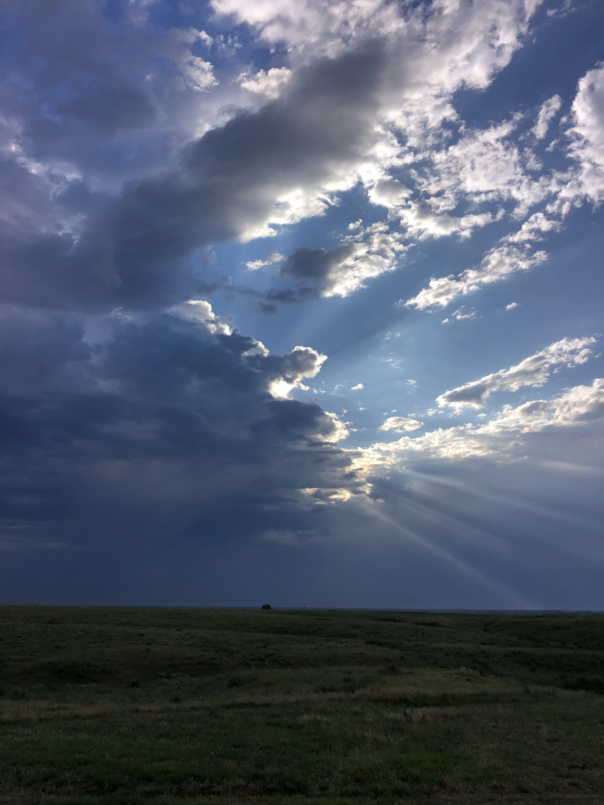 Rattlesnake Meat Company Regenerative Agriculture