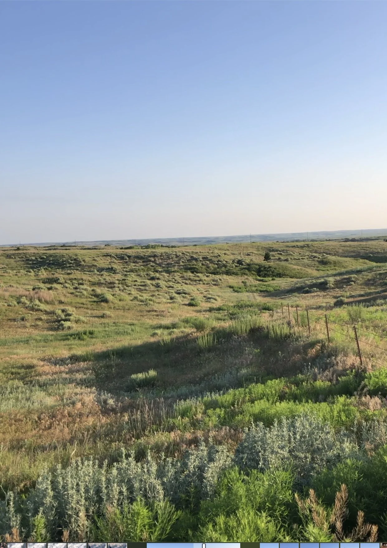 Rattlesnake Meat Company Regenerative Agriculture