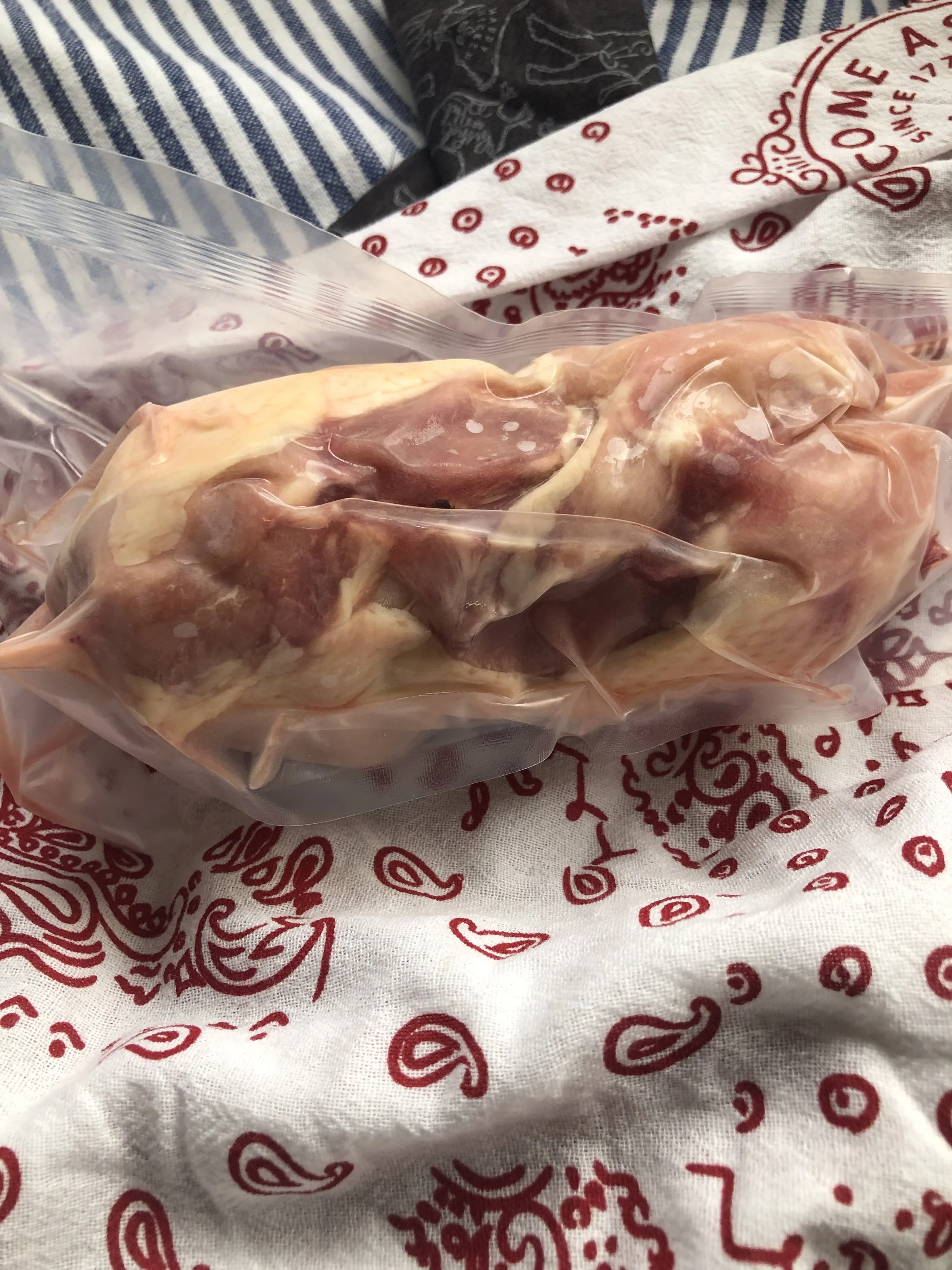 chickenbackbones2.jpg
