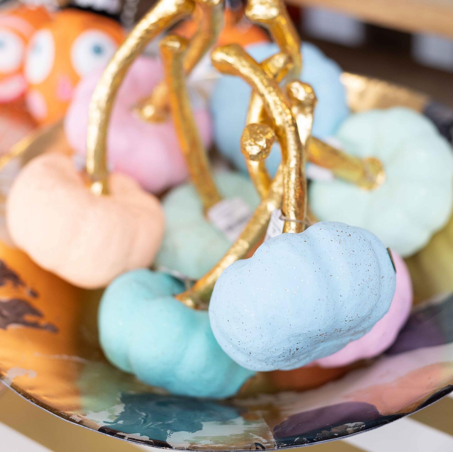Recent Seasonal Product Photography