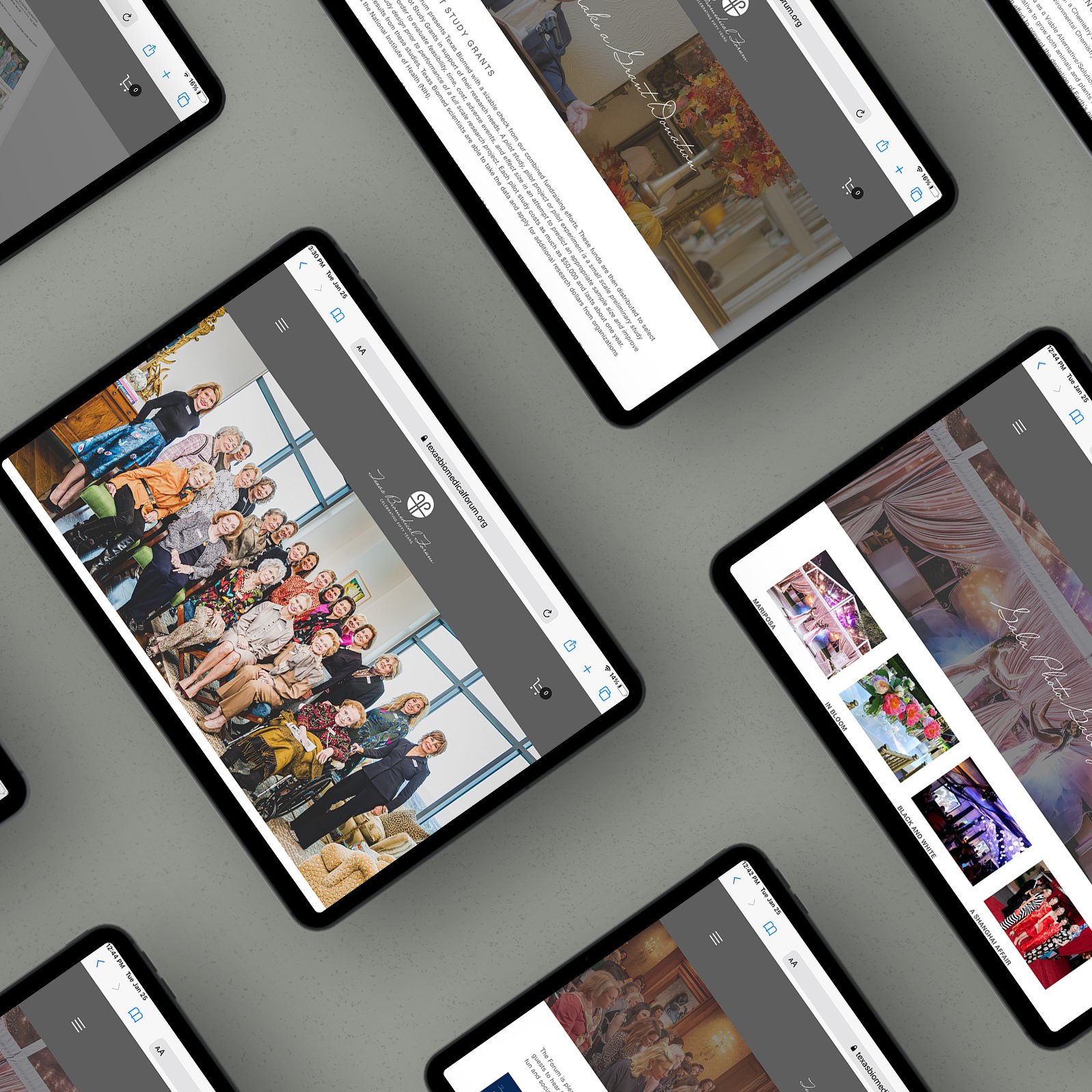 New Website for Texas Biomedical Forum