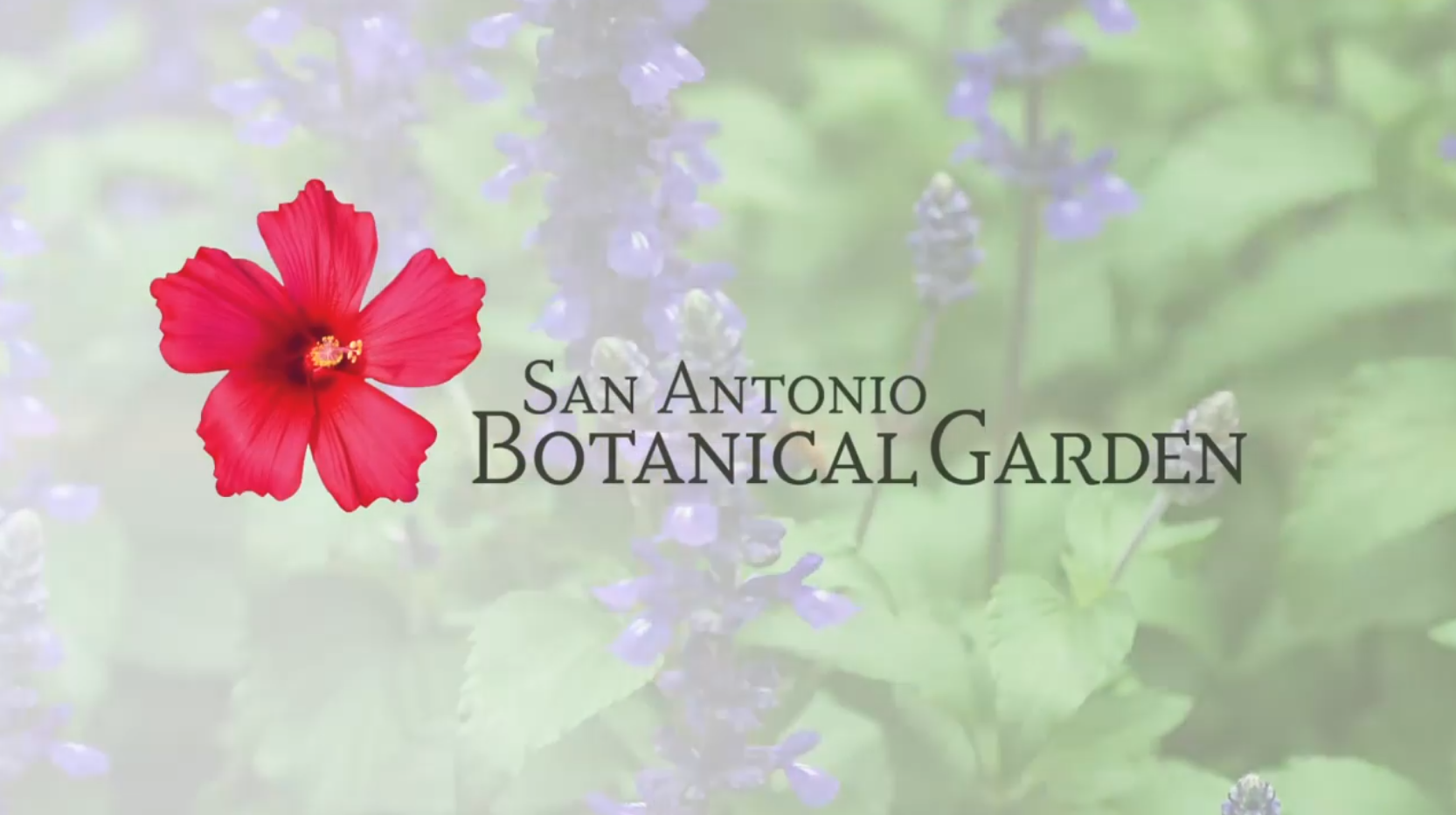 Botanical Garden Video by Core Creative