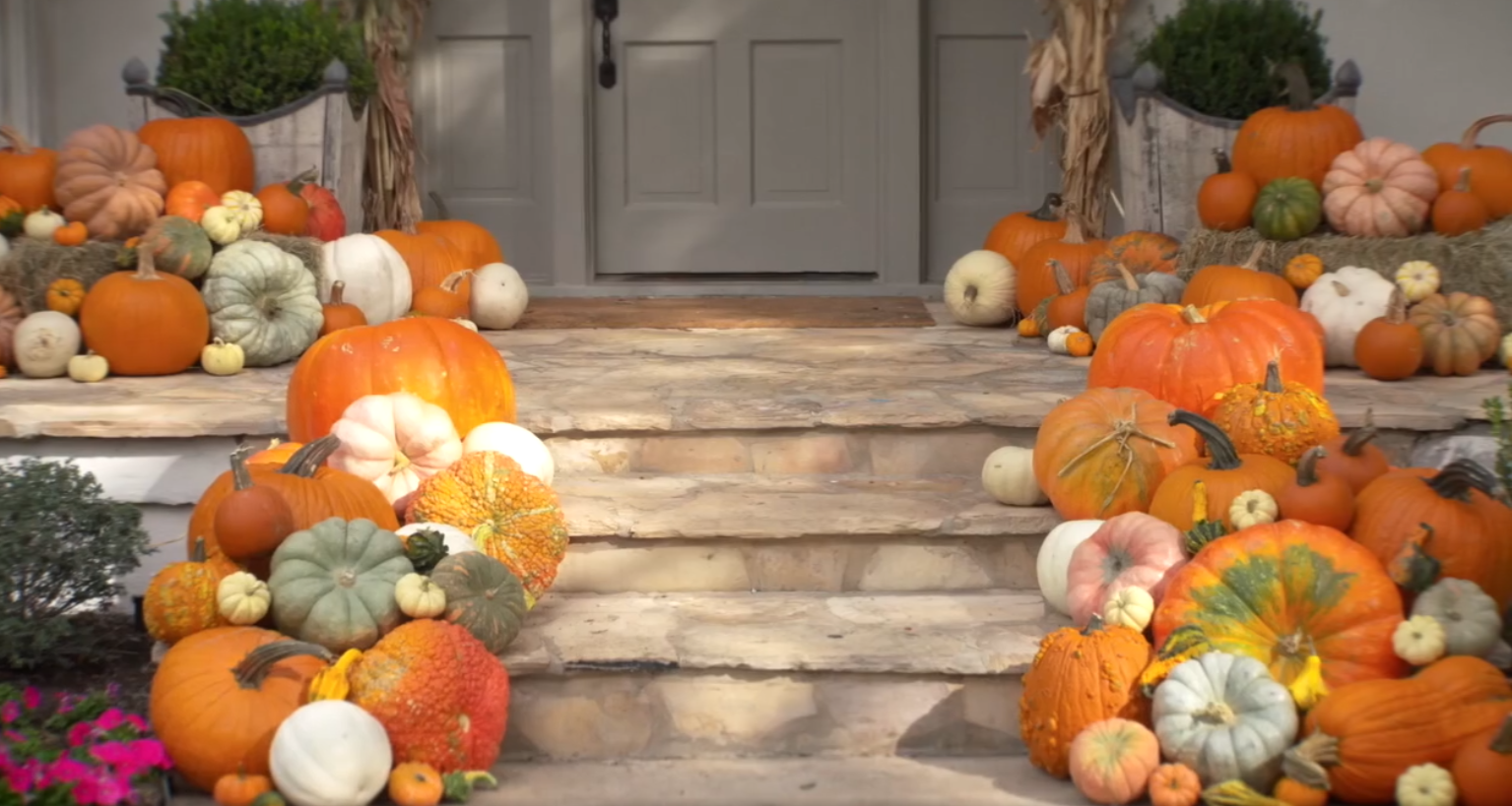  HT&amp;Co.'s Fall Pumpkin Packages