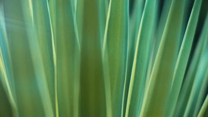 When Core Creative was tasked with creating ongoing email and social media campaigns for The Gabriel, a new condo community in Northwest San Antonio (near Helotes) that hasn&rsquo;t yet broken ground, we knew an element of the campaign was to paint a