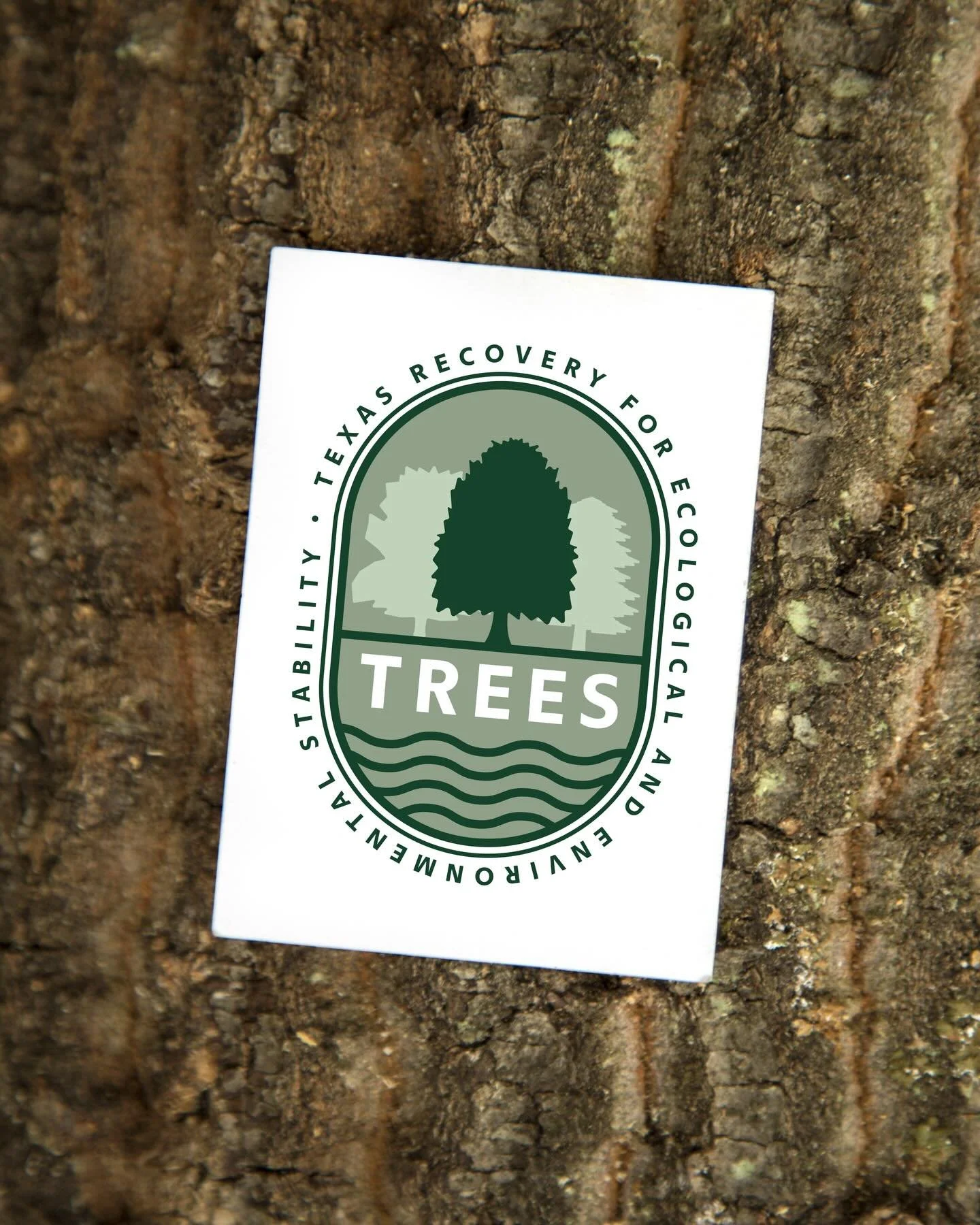 Core Creative had the honor of creating a logo for The TREES Initiative (Texas Recovery for Ecological and Environmental Stability)&mdash;a five-year project led by the San Antonio Botanical Garden to restore 50,000 native trees along the Guadalupe R