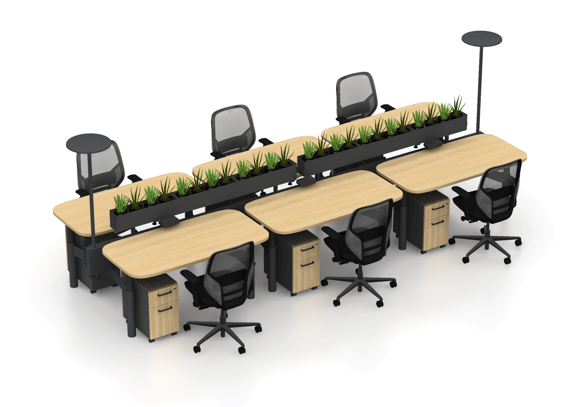 Open Plan 02