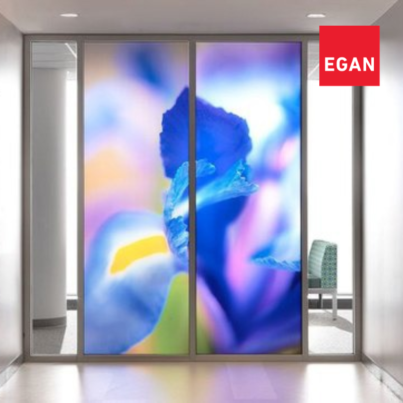 Egan Healthcare Overview