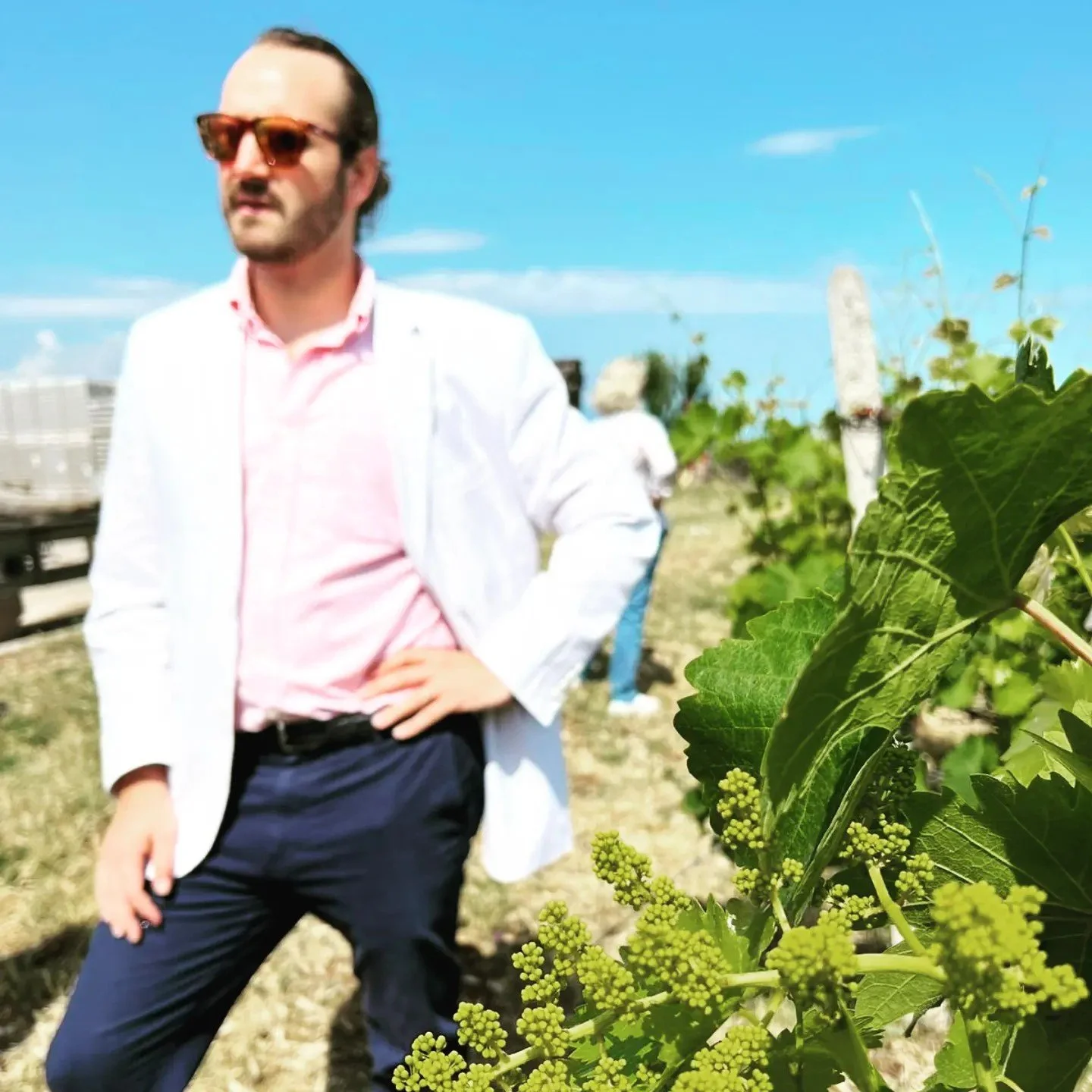 A man wearing a white jacket, pink shirt, and sunglasses stands in a vineyard with lush green grapevine leaves in the foreground and a clear blue sky above.