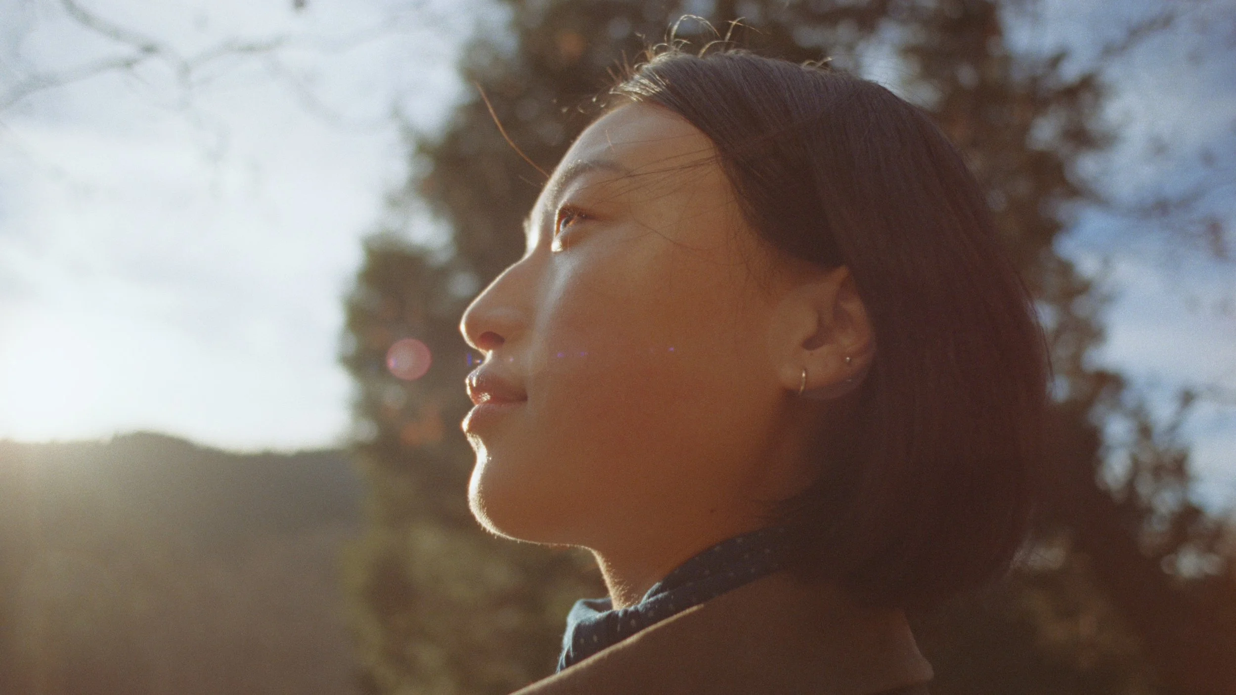 Still 2026-01-22 130103_1.49.1.jpg