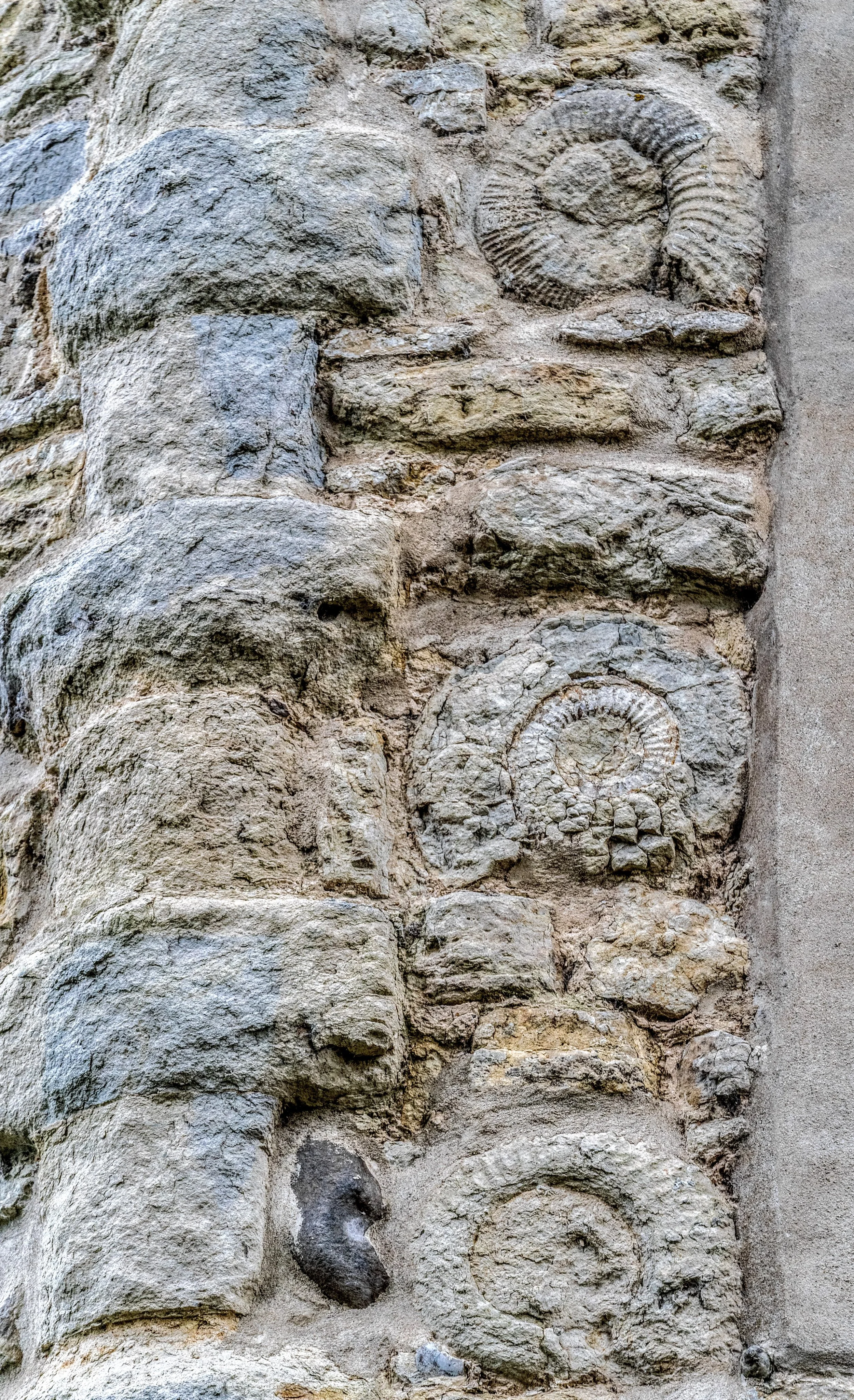 Dinton Castle 1-8-2024-17.jpg