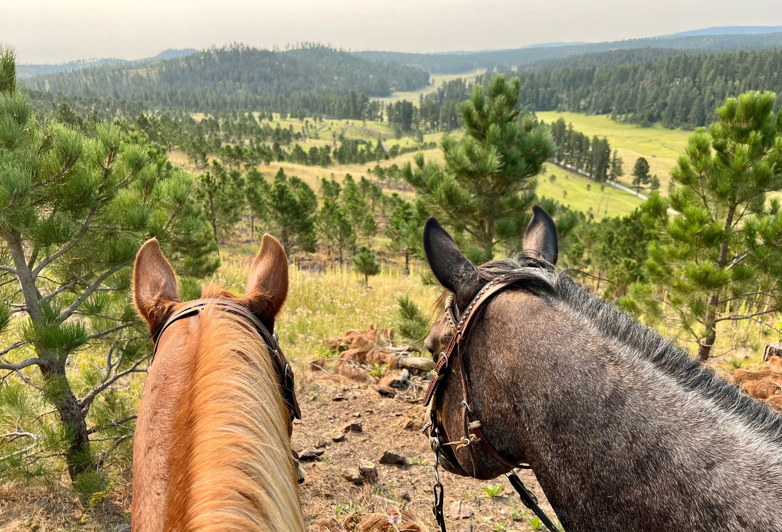 Hay Creek Ranch South Dakota