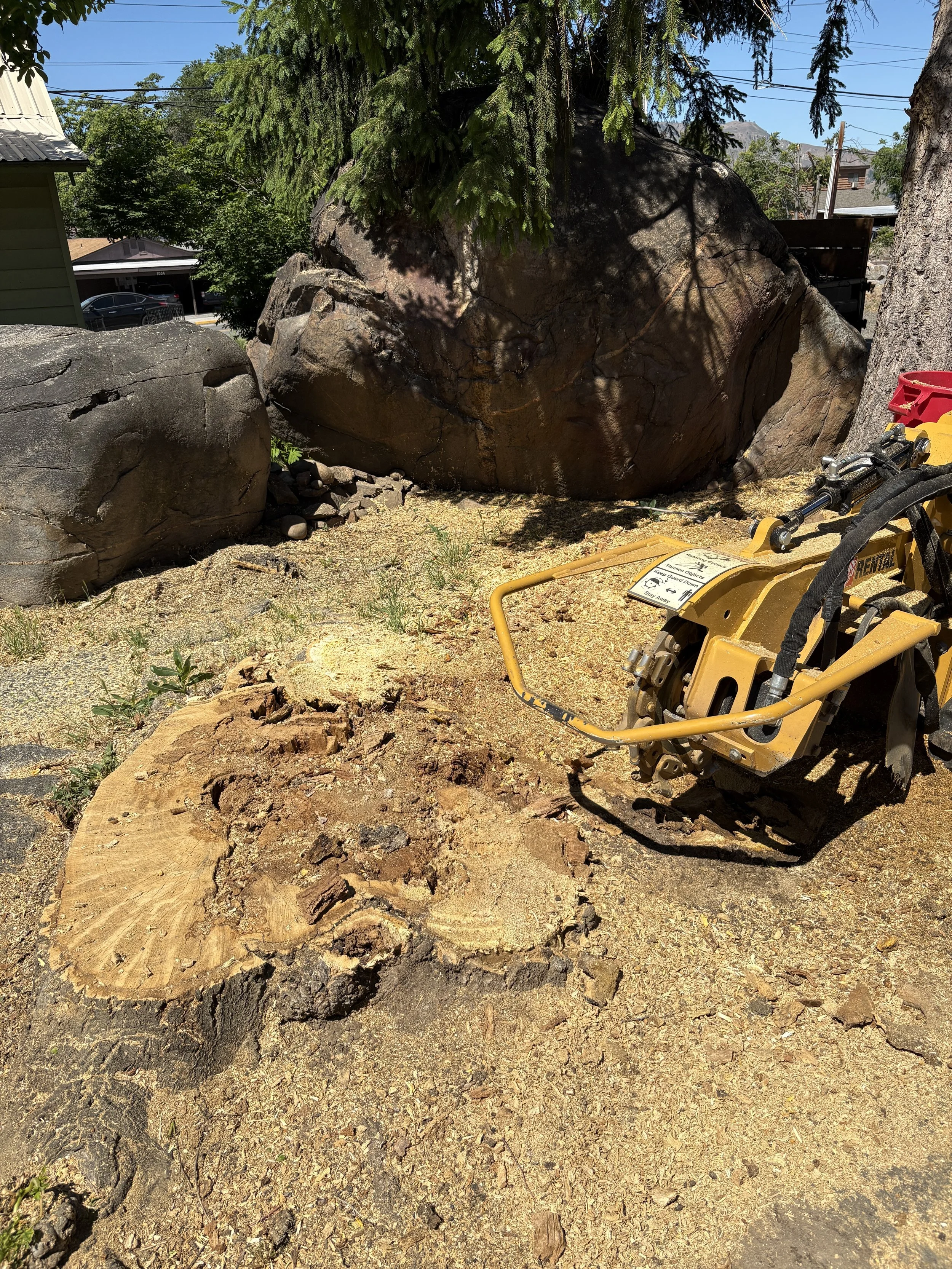A tree stump with a stumpgrinder and large rocks in a yard with dirt and mulch, under a sunny sky.