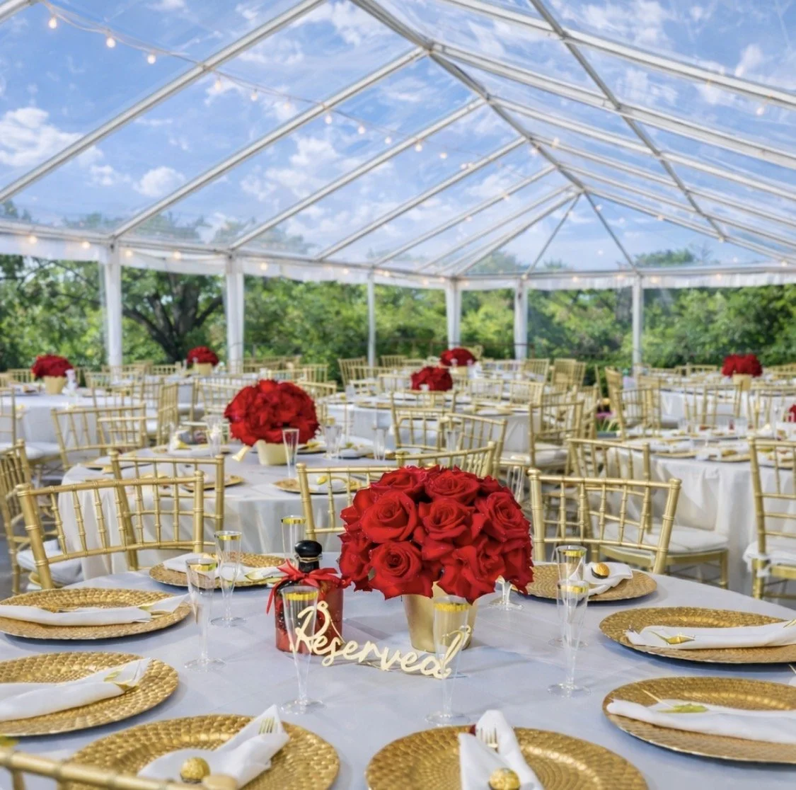 Economy Package (For 50 people)