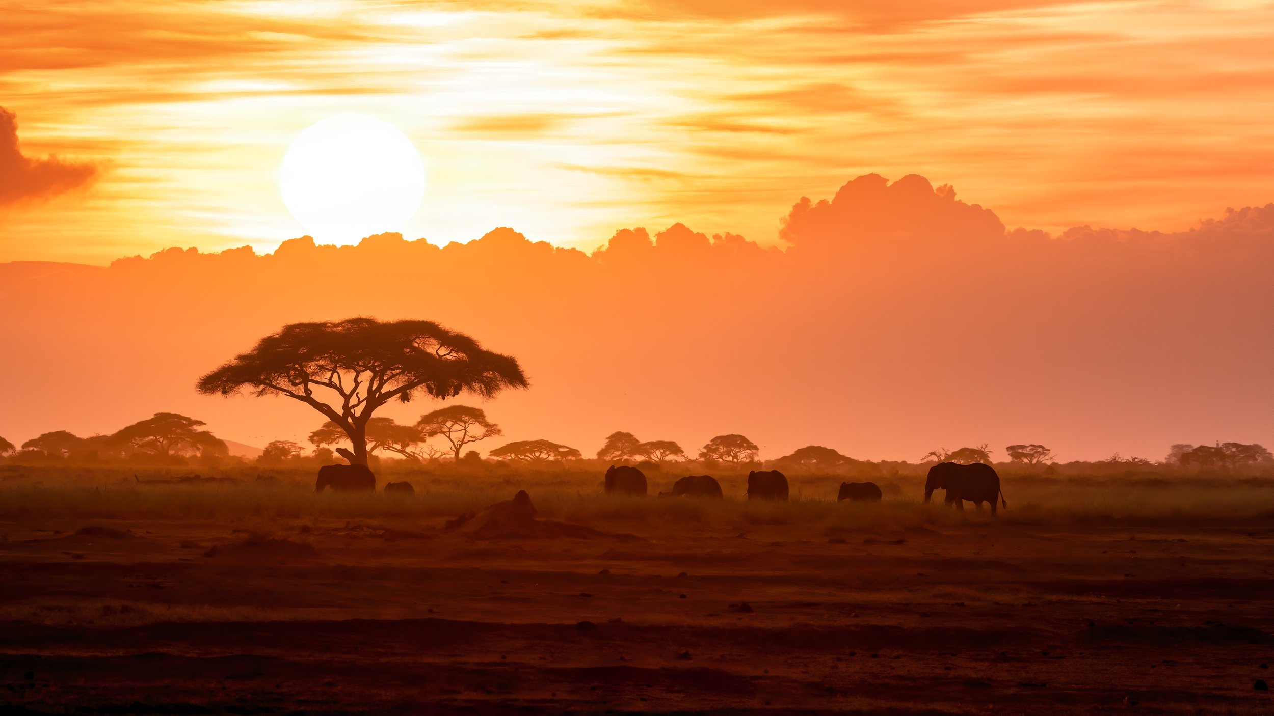Church Missions Network — Kenya