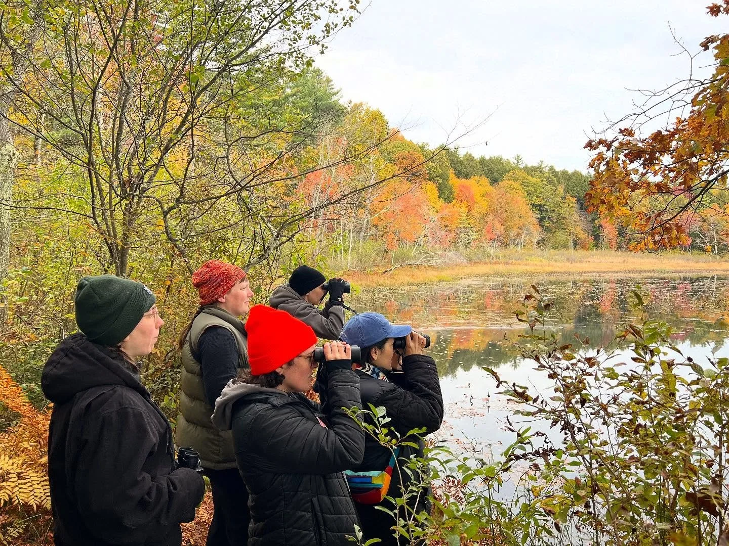 Our first Bird Club was so much fun! I love birds and woods and cool people, so combining all three is very ideal! I feel so lucky to have the support of such an incredible community of book lovers. Thank you to everyone who came out today, and to Dr